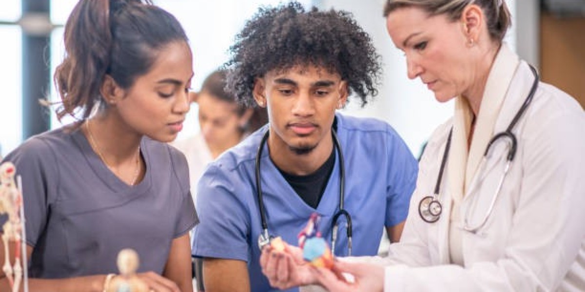 How Do Online Nursing Programs Adapt to Changing Healthcare Needs?