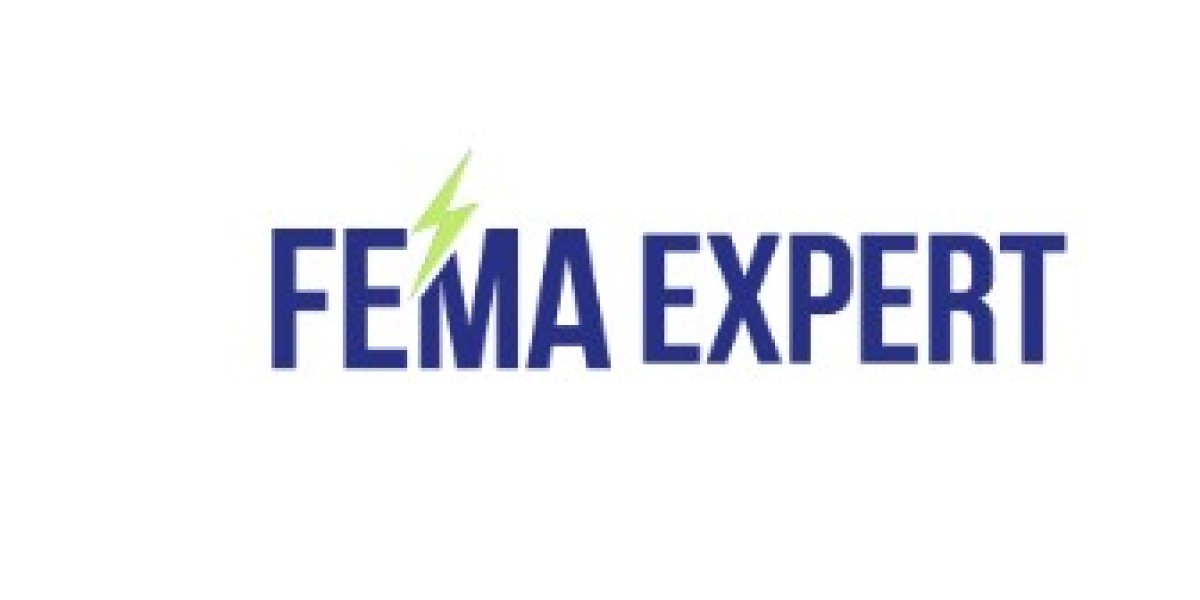FEMA Expert: Trusted FEMA Consultant for Compliance in India