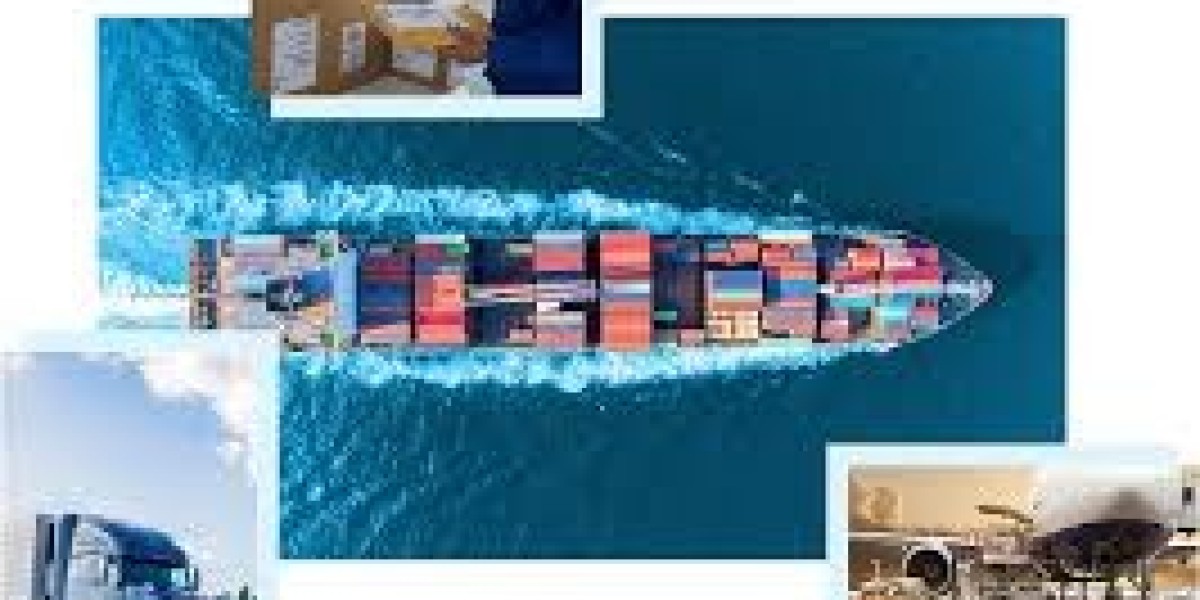 Best Customs Compliance Tools in Logistics Industry: Essential Solutions for Efficient Global Trade