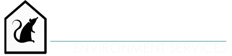 Best Pest Control Services Manchester | Master Pest Tech