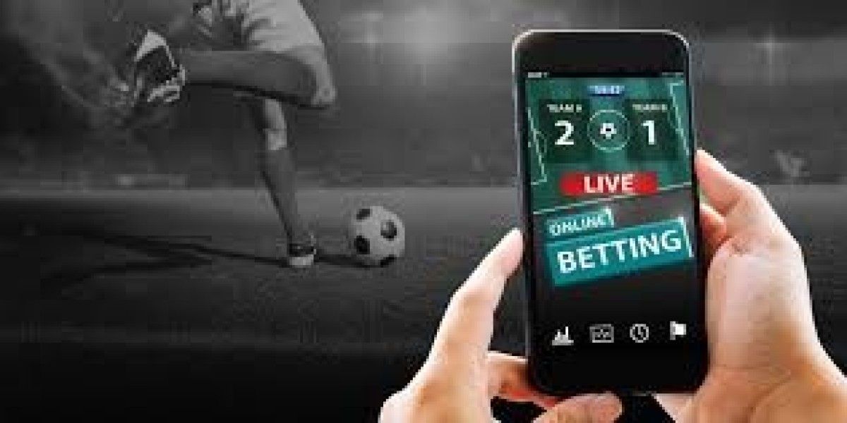 How to Stay Updated with Live Scores on Playinexch365