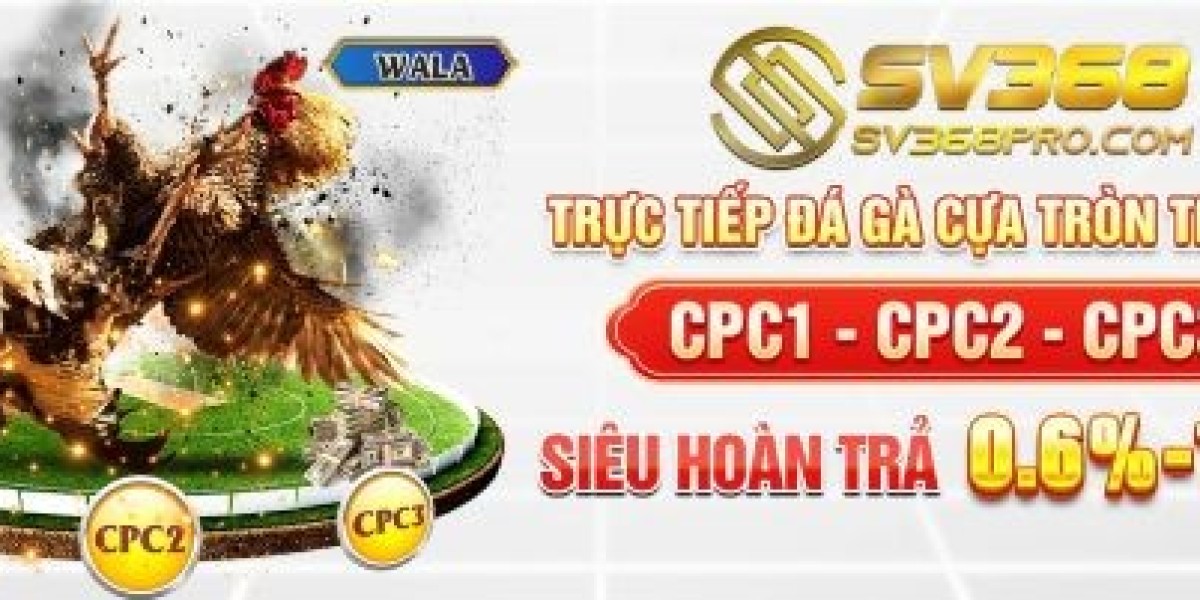 SV368 – Nen Tang Da Ga Truc Tuyen Hien Dai Va Hap Dan