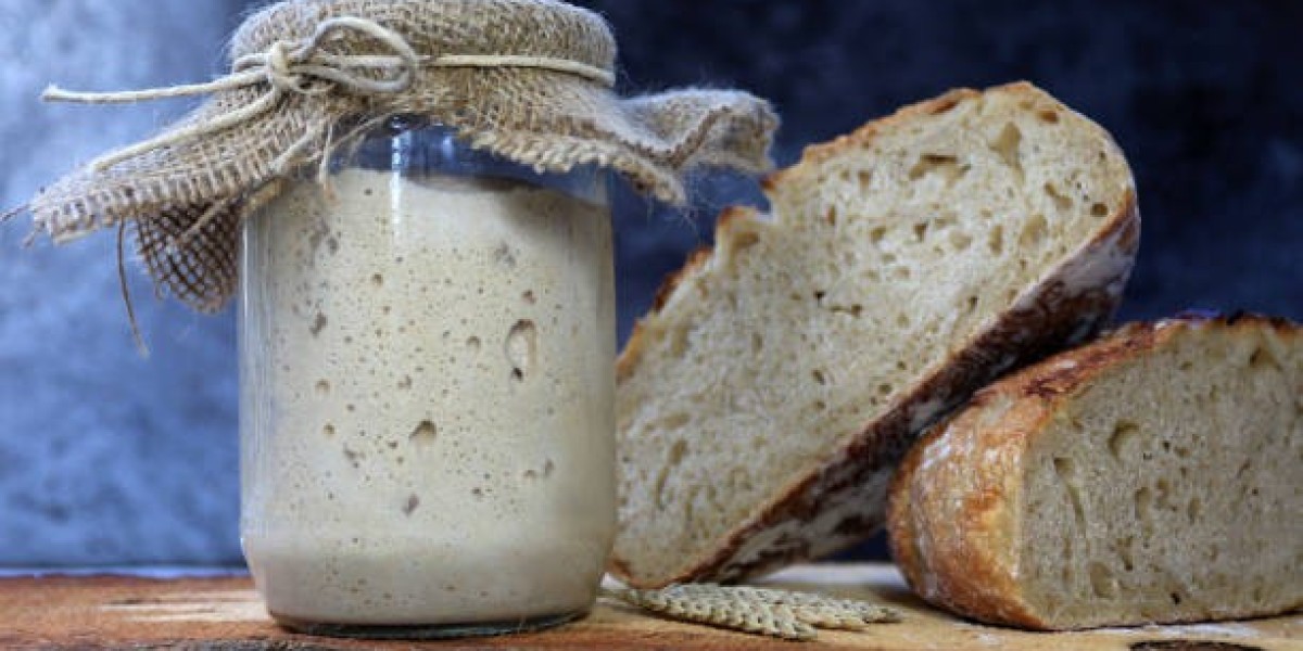 Technological Innovations in Starter Feed Market Industry