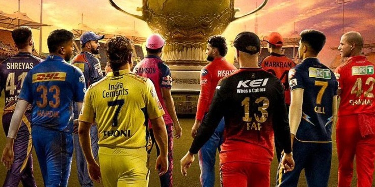 Foreign Players Who Became IPL Legends