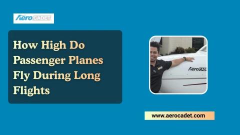 How High Do Passenger Planes Fly During Long Flights