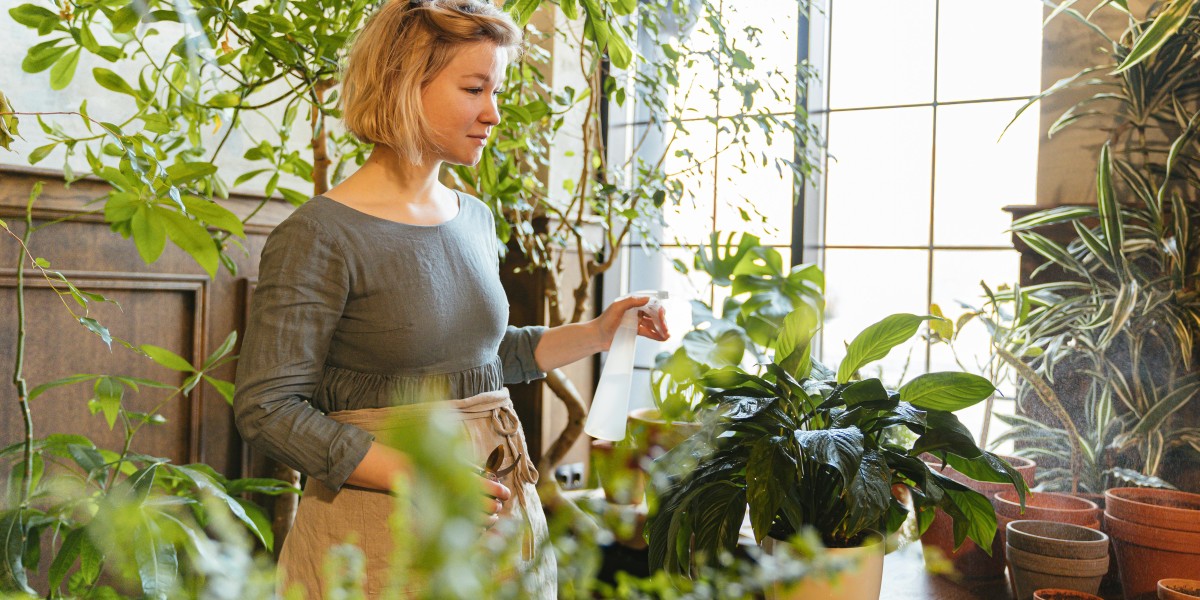 Foliar Spray Market Size and Forecast 2025 - 2033