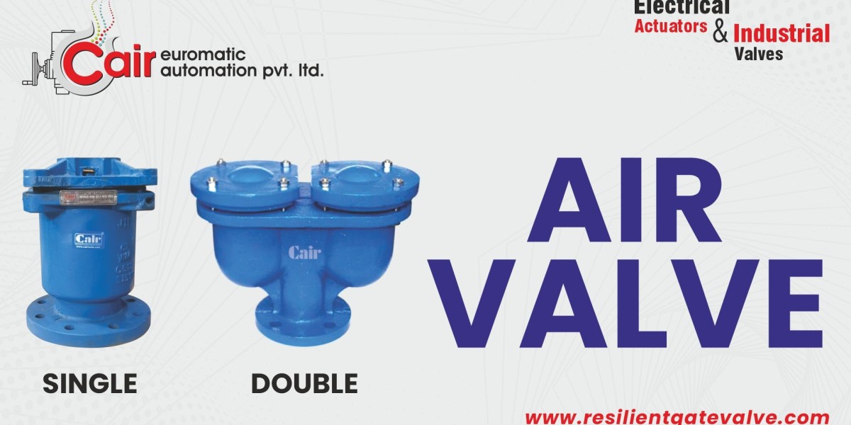 Easy Guide to Single and Double Air Valves