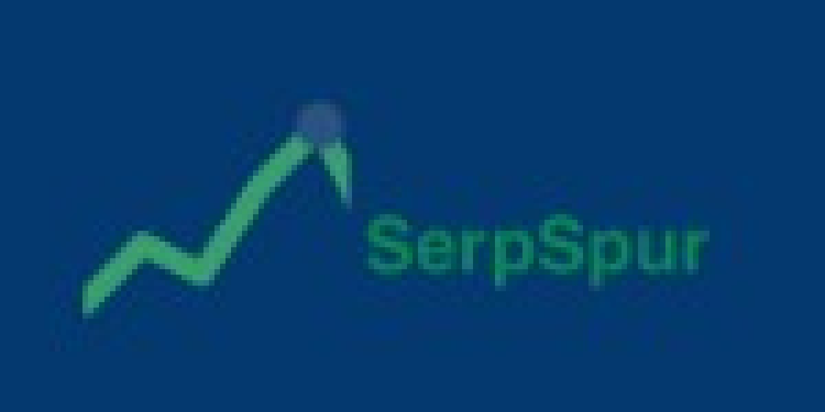Serpspur: A Complete SEO Guide for Building Strong and Stable Search Rankings