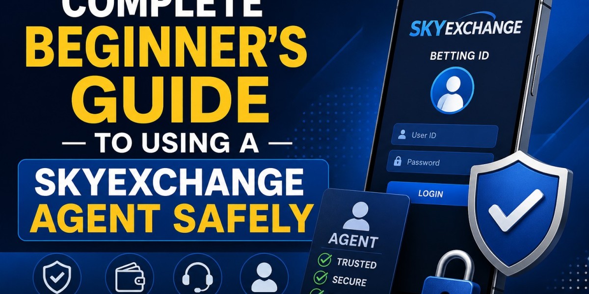 Complete Beginner’s Guide to Using a SkyExchange Agent Safely