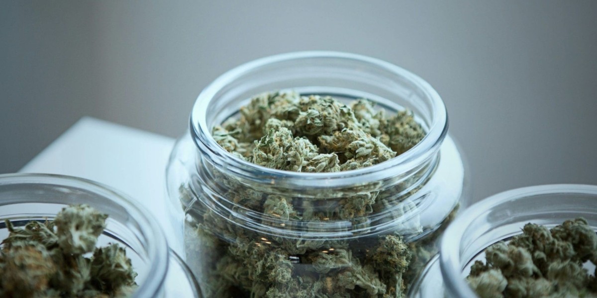 Best Weed Strains