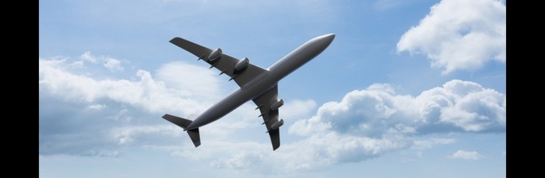 Rushmy Flight Cover Image