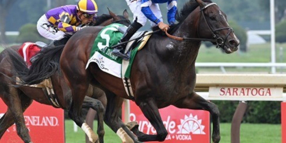 History and Thrill of Horse Race Chennai Explained Simply