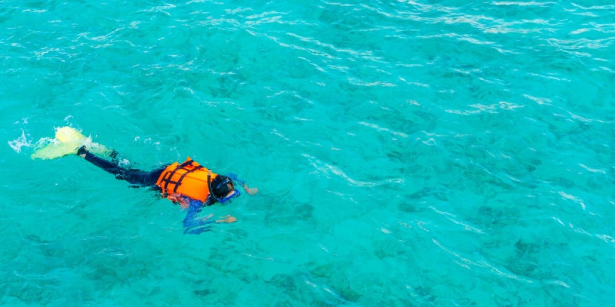 Snorkeling Loreto Mexico: Discover the Hidden Marine Paradise of Baja