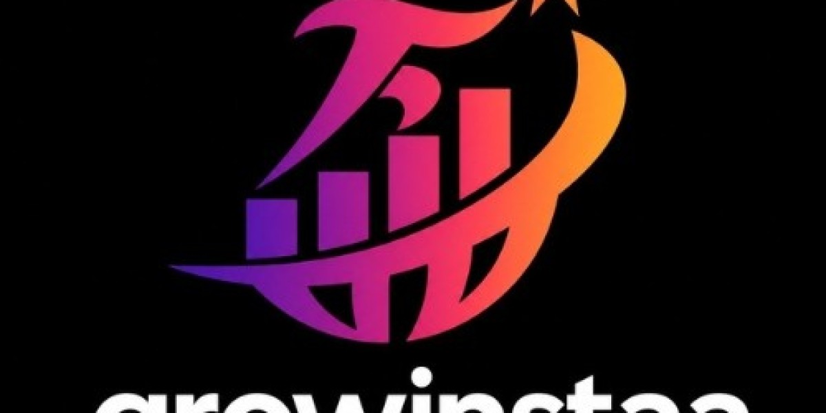 GrowInstaa: Your Trusted Instagram Follower Agency in Jaipur