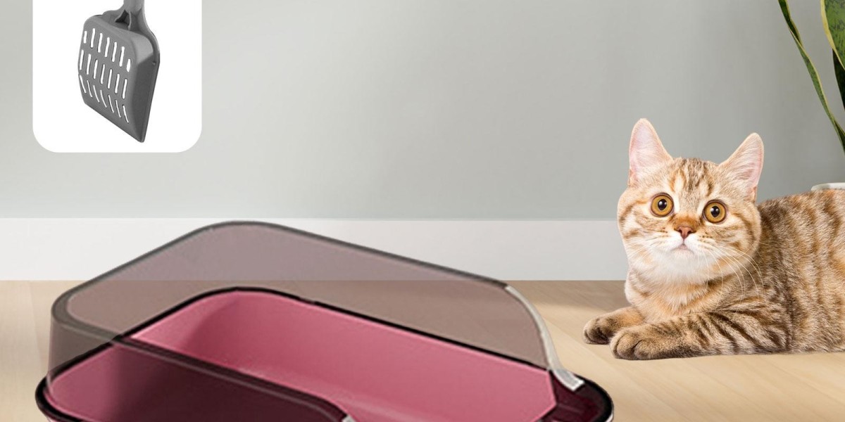 Affordable Options to Shop Cat Supplies for Indoor Cats