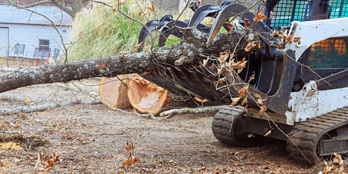 Why Do Land Clearing Services Matter Before Fencing?