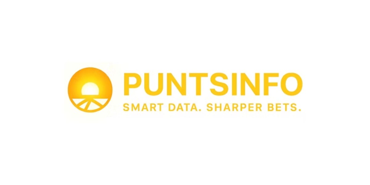 Unlocking the Power of Data: Why Puntsinfo Leads as Your Trusted Punters Database Provider