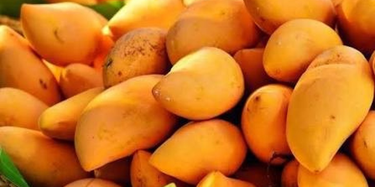 Best Pakistani Mangoes Online: A Complete Guide to Buying Premium Mangoes