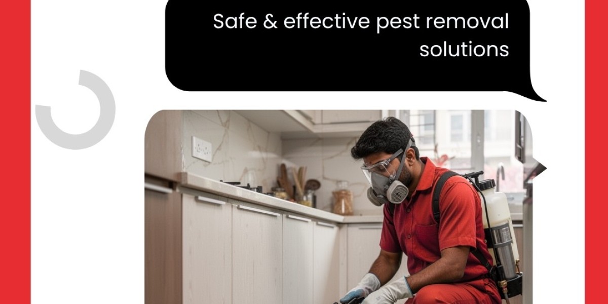 Say Goodbye to Infestations with Pest Control Care India: Your Trusted Partner for Pest Control Mumbai