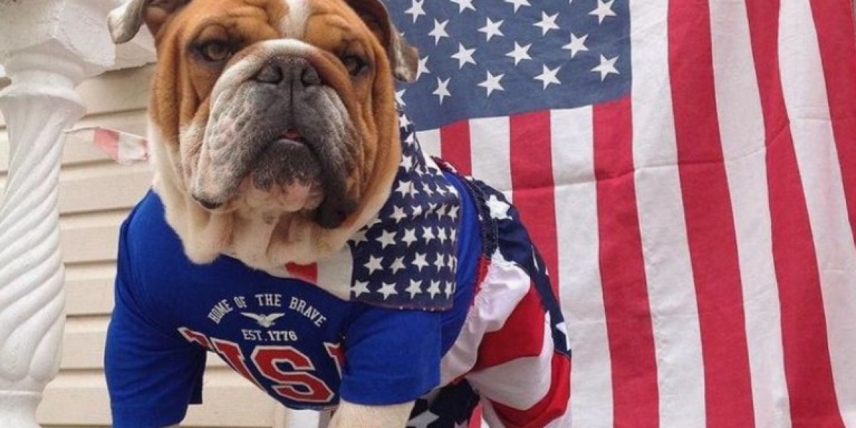 Patriotic Bulldog Flag Fleece & English Bulldog Hoodie NYX – The Ultimate Comfort and Style for Your Loyal Companion