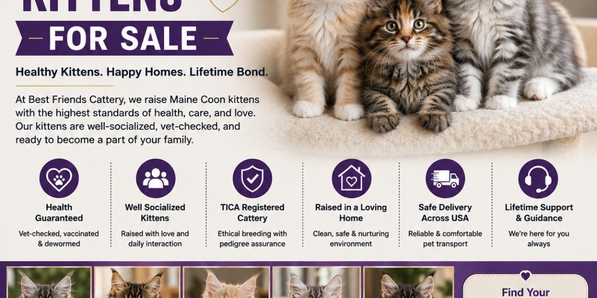 Finding the Perfect Feline Companion for a Happy Family Life
