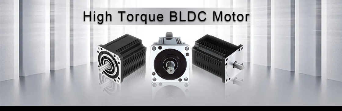 BLDC Electric Motor Supplier Cover Image