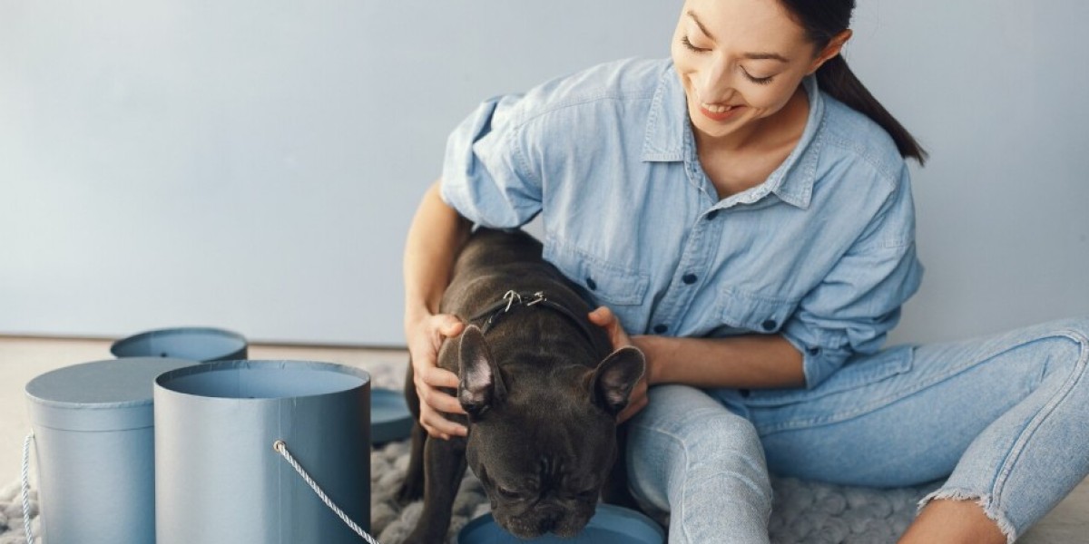 How to Prepare Pets for a Hurricane and Recognize Signs Your Pet Needs More Attention