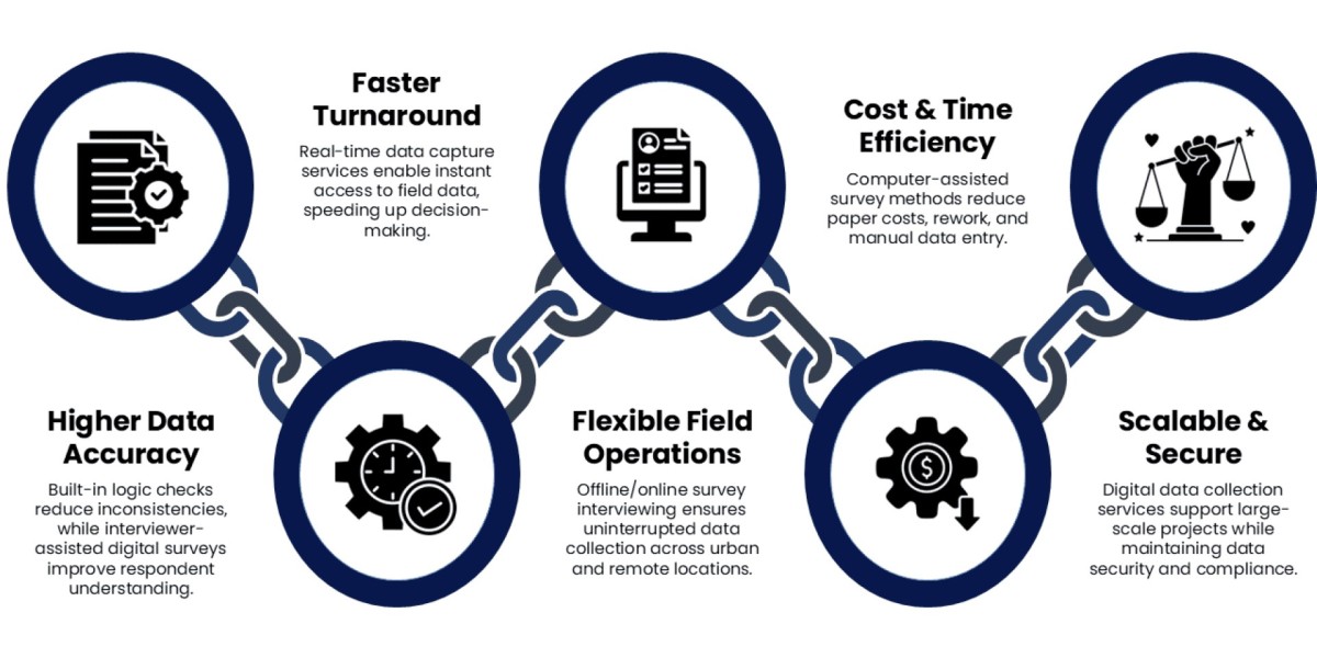 CAPI Services: Digital Field Data Collection Solutions