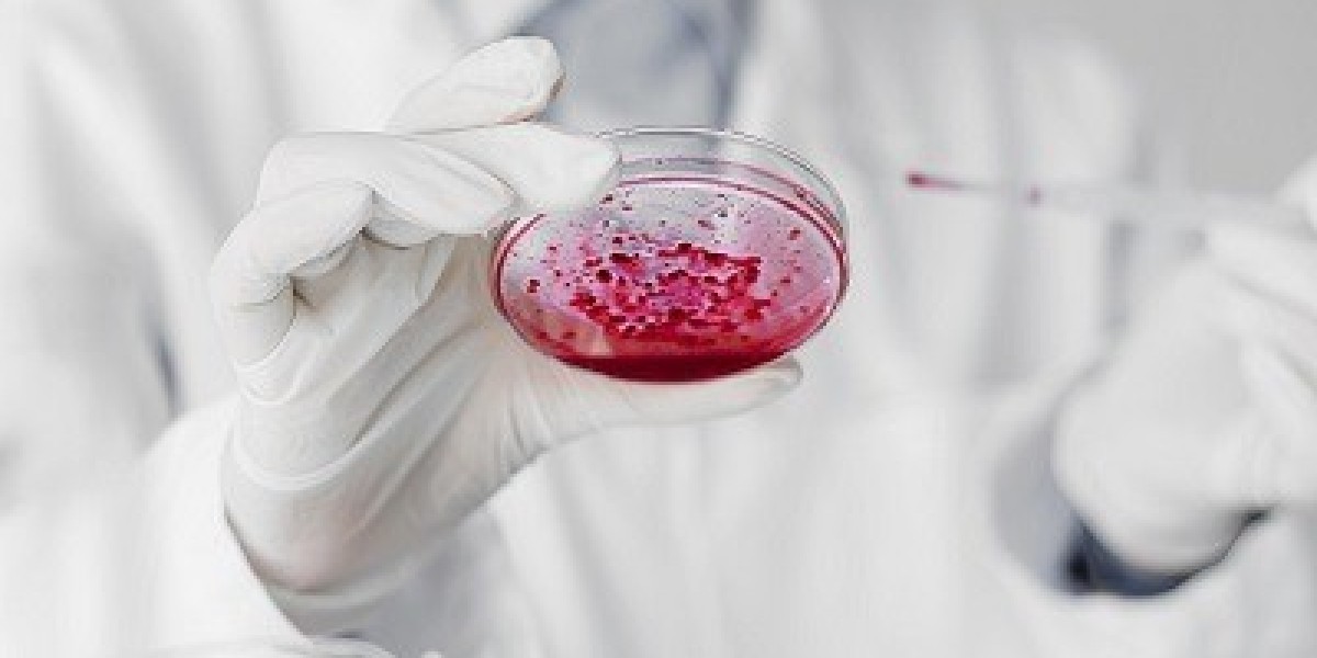 Elite Recovery Pathway Stem Cell Therapy for Lifelong Vitality