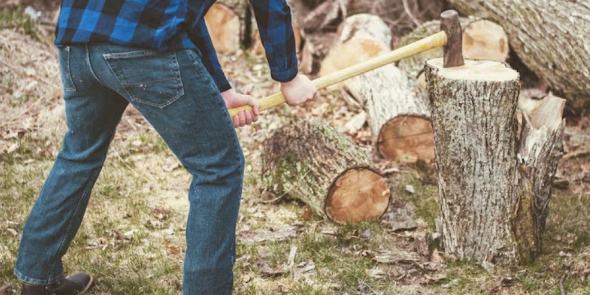 Tree Pruning Service Midtown Mobile AL and Stump Grinding Midtown Mobile AL: Complete Guide to Healthy, Safe Landscapes