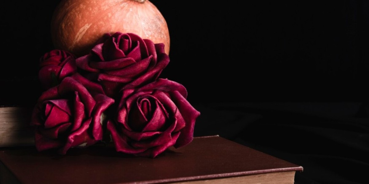 Widow Alien Romance and Paranormal Romance Books: A Deep Dive into Otherworldly Love Stories