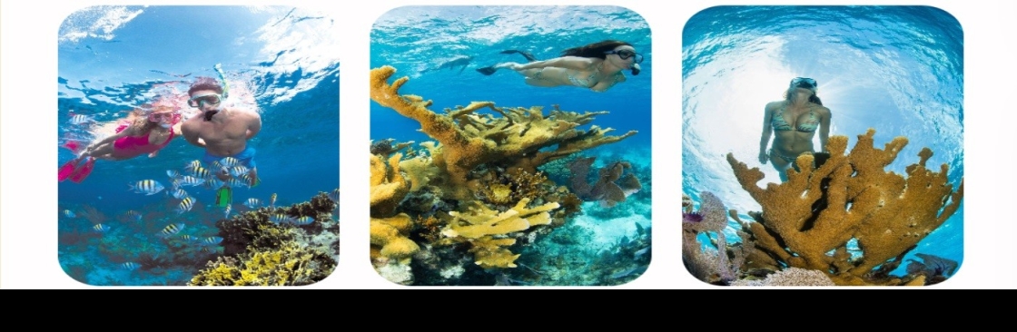 Paradise Island Adventures LTD Cover Image