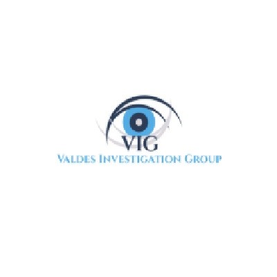 Valdes Investigation Group Profile Picture