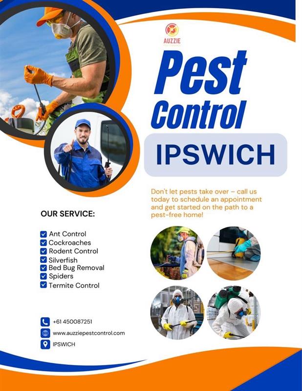 Pest Control Ipswich | Same-day Pest & Termite Solutions at $175