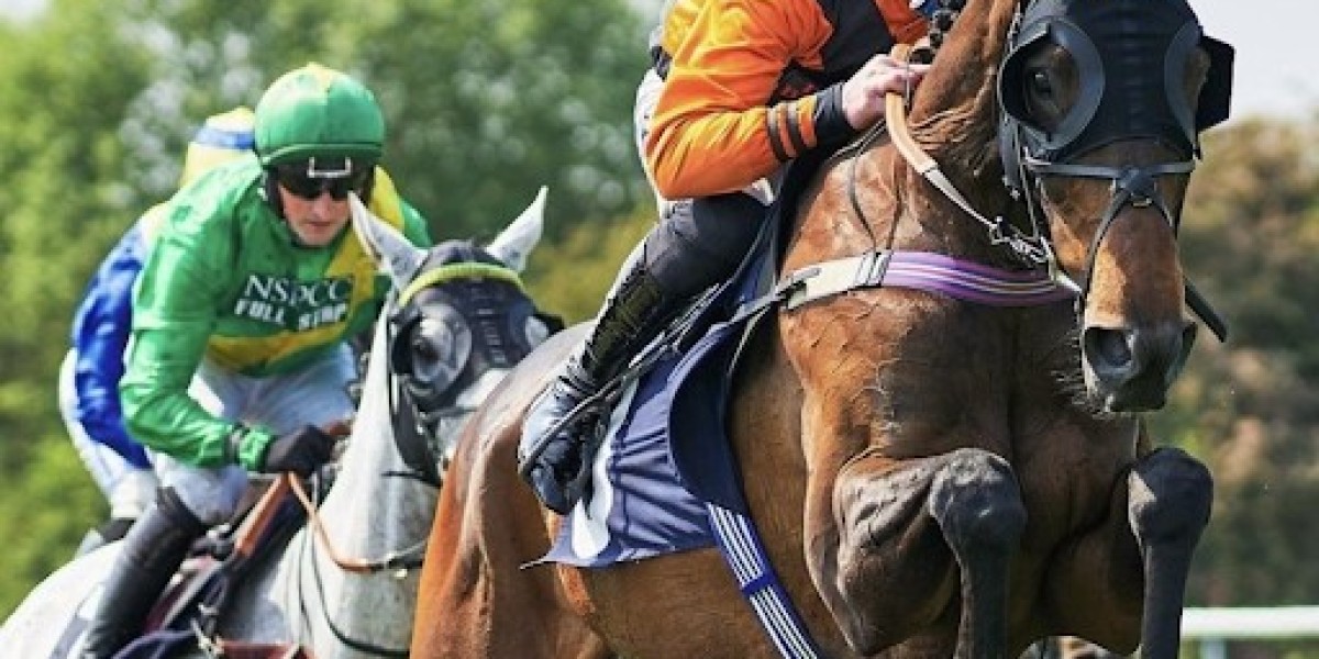 Hyderabad Race Club and Its Influence on Indian Horse Racing