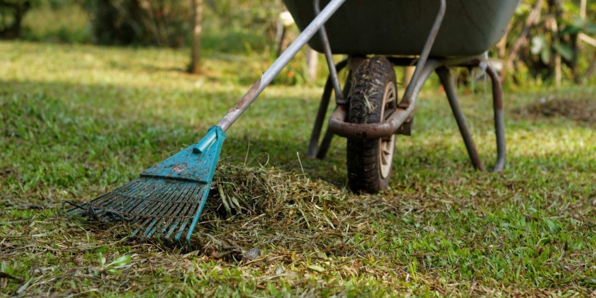 Garden Clean Up Services: Transform Your Outdoor Space with Professional Care