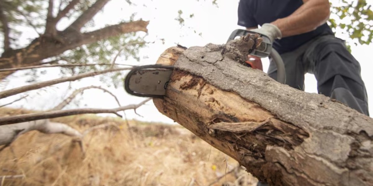 The Importance of Professional Stump Grinding for a Beautiful Landscape in Fairhope, AL