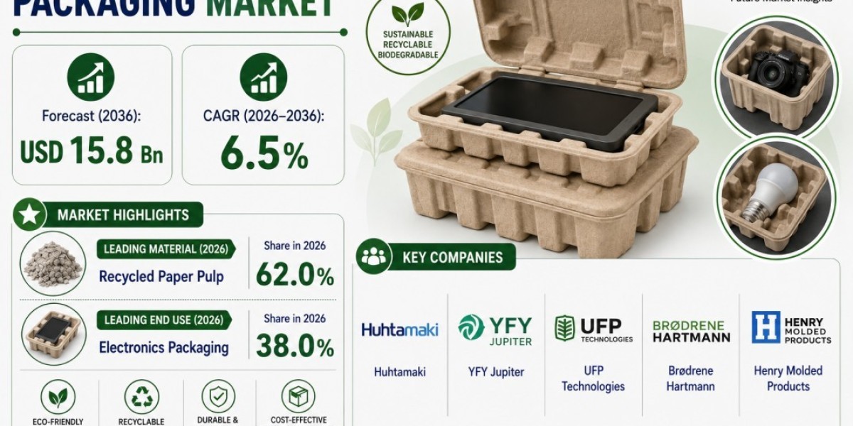 USA Molded Fiber Pulp Packaging Market Highlights Huhtamaki as Industry Expands