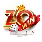 zowinmoicom Profile Picture
