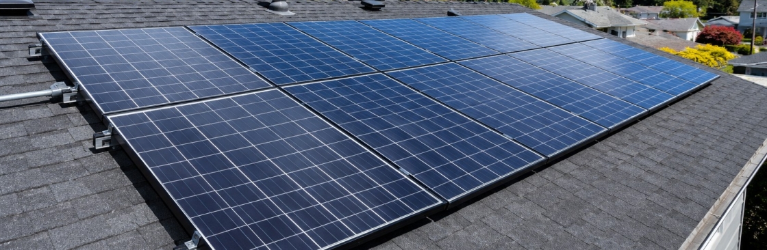 Raynex Power Solution Cover Image