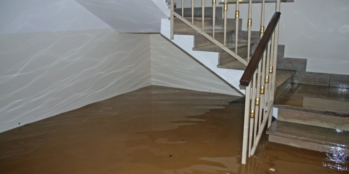 Why Should You Choose a Professional Restoration Company Near Me After Property Damage?
