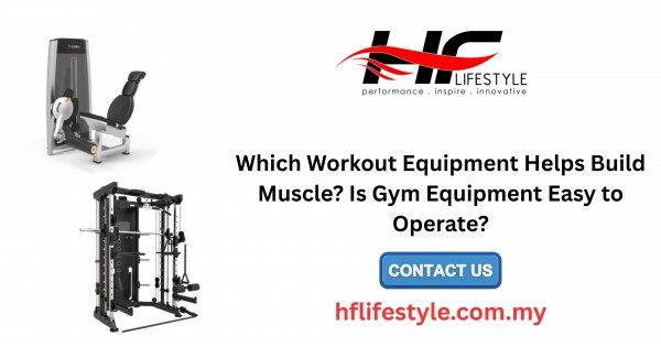 Which Workout Equipment Helps Build Muscle? Is Gym Equipment Easy to Operate?