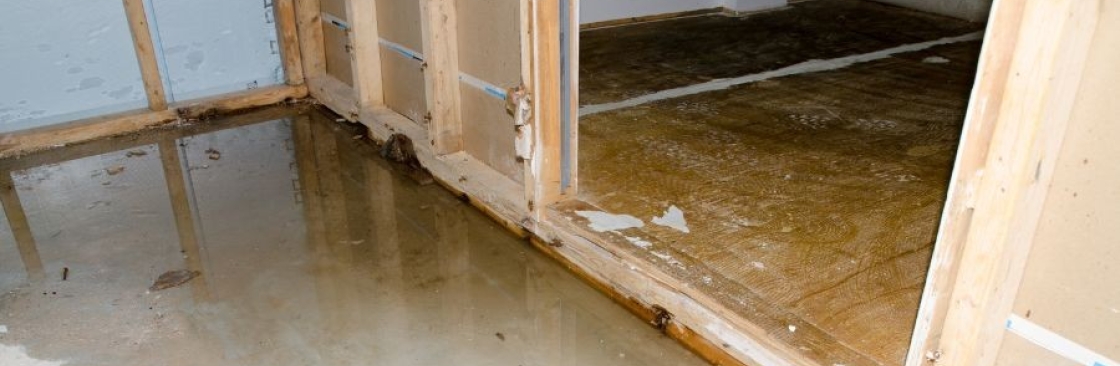 Water Damage Restoration Melbourne Cover Image