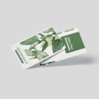 https://visawalk.com/schengen-visit-visa/