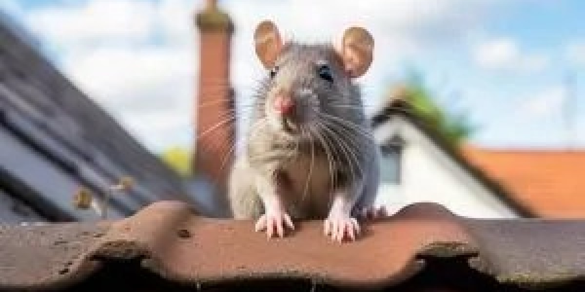 Effective Pest Prevention Starts with Smart Property Care