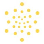 Shine bright Profile Picture