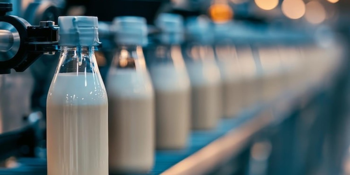 Global Probiotic Beverages Market: Gut Health Awareness and Functional Nutrition Fuel Industry Growth