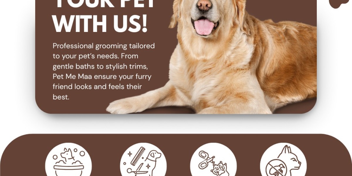 Which Dog Cafe in Noida Offers the Best Experience for Pets and Their Owners?