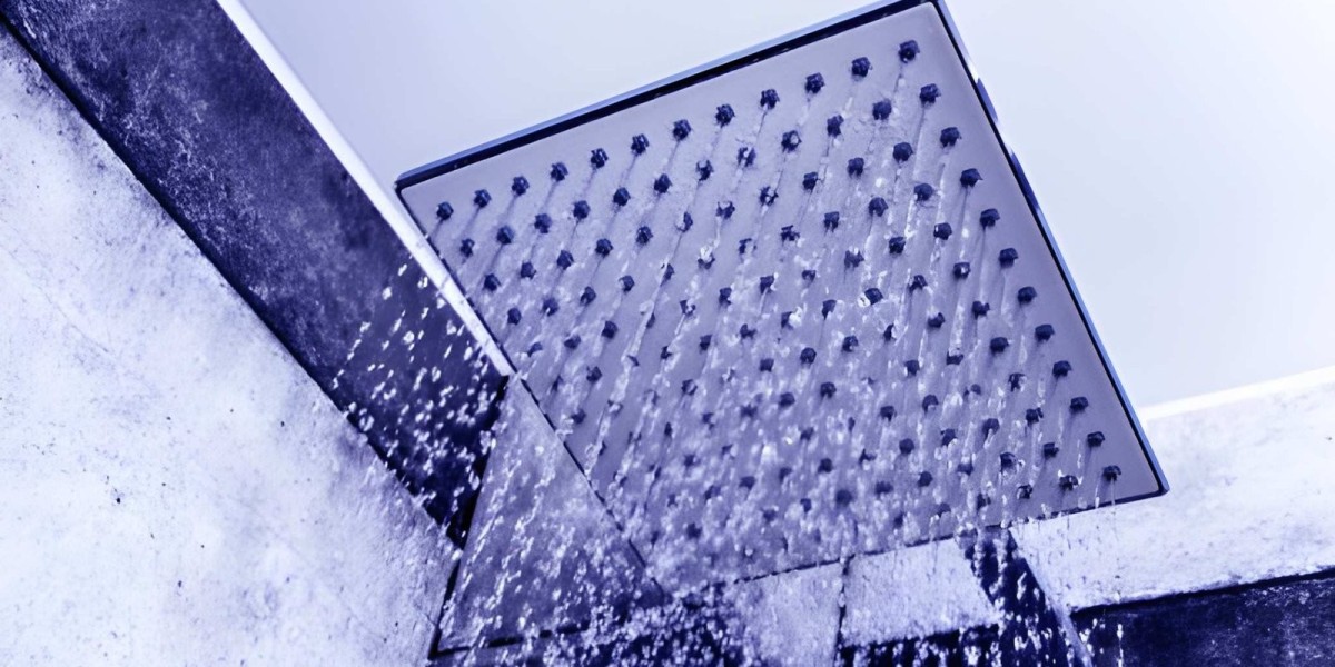 Blue Oasis Shower Filter: The Smart Choice for Cleaner Water