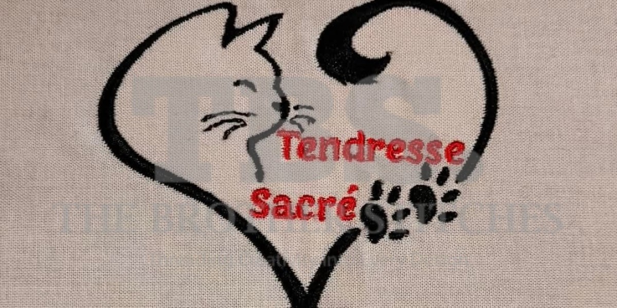 Precision in Every Stitch: Elevating Brands with Professional Embroidery Digitizing and Screen Printing